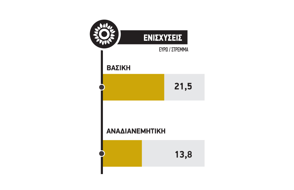 Δυναμική για να διατηρήσει τα 47 λεπτά χτίζει ο ηλίανθος που κλέβει εκτάσεις το 2025