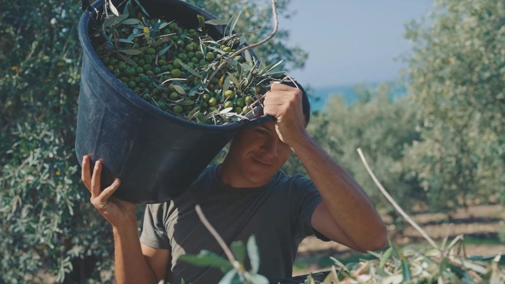 Κοινωνικό αγαθό για τους Ιταλούς το ελαιόλαδο, το 96% πιστοί στην κατανάλωσή του