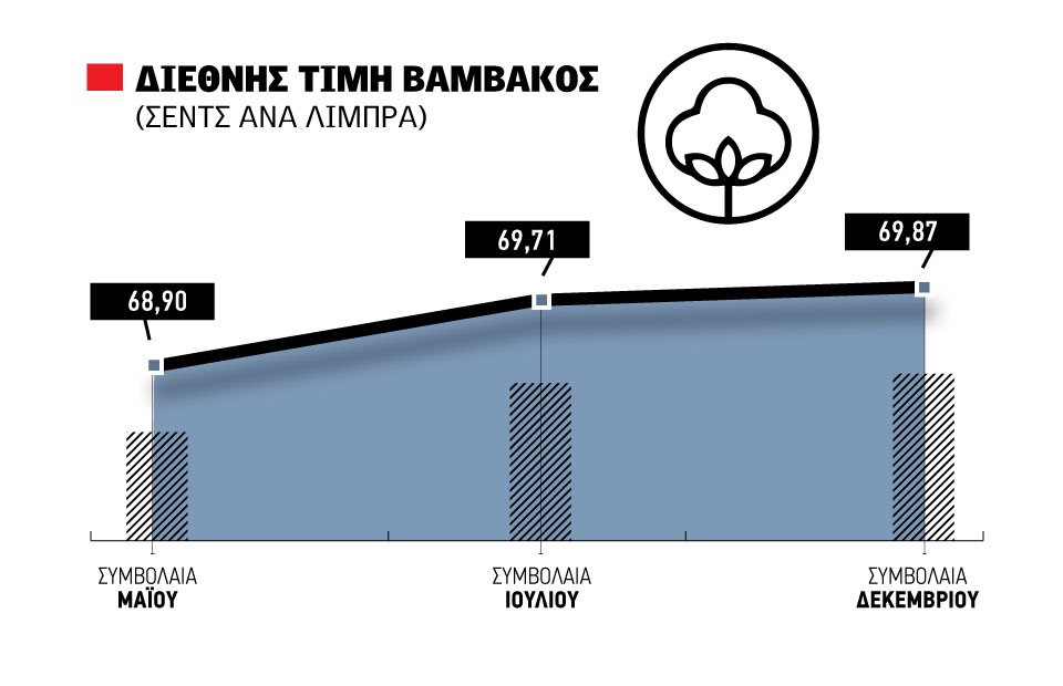 Για 15% μείωση εκτάσεων στο  βαμβάκι μιλούν οι αμερικανοί  κοντά στα 70 σεντς οι τιμές