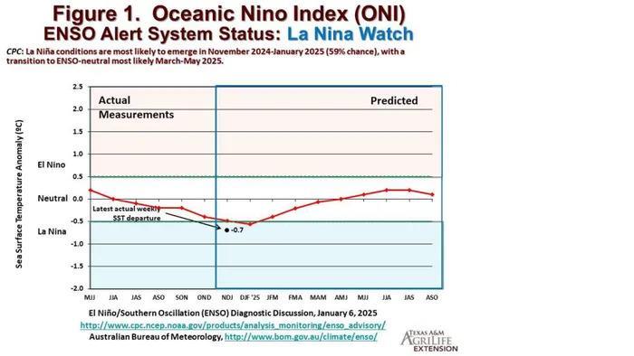 Αγροτικές Ειδήσεις: Βαμβάκι: Ξηρασία " La Niña" το 2025;