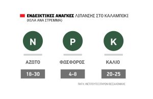Ξεκλειδώνοντας το δυναμικό  του υβριδίου στο καλαμπόκι  για αποδόσεις >1.750 κιλών