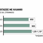 Μπαίνει σε 1 εκατ. στρέμματα φέτος ο ηλίανθος και γράφει ξανά «4» μπροστά στην τιμή