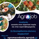 Πλατφόρμα για εύρεση εργατών γης από ΑΣ Περιφέρειας Κεντρικής Μακεδονίας