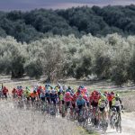 Το ελαιόλαδο, σύμμαχος της υγείας και της απόδοσης στον αθλητισμό