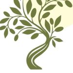 Πρόσκληση ενδιαφέροντος για φωτοβολταϊκά πλαίσια στον Αγροτικό Ελαιοκομικό Συνεταιρισμό Λιθινών