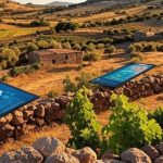 Λειτουργικό εργαλείο ο Ψηφιακός Αγροδιατροφικός Χάρτης για την περαιτέρω ανάπτυξη του Β. Αιγαίου