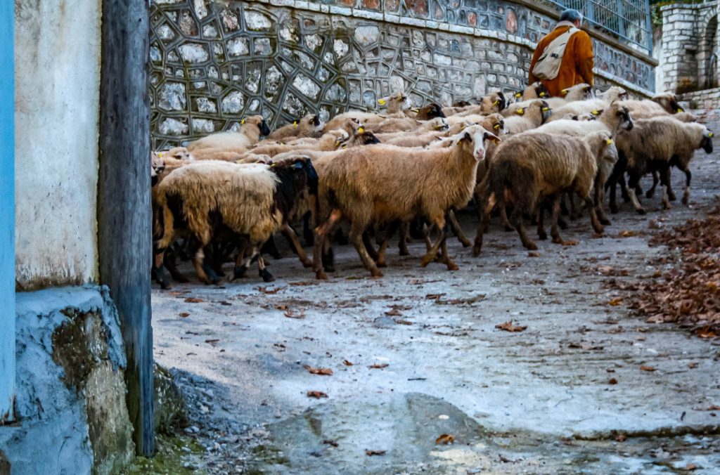 Μέχρι 21 Μαρτίου ενστάσεις για εξισωτική 2024, δύο τα σενάρια για την εξόφληση