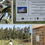ΔΟΕ: Αναγνώρισε την 8η Διεθνή Τράπεζα Γενετικού Πλάσματος Ελιάς στην Ελλάδα