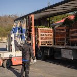Η αποκατάσταση του Μελισσοκομικού Πάρκου Δήμου Σουφλίου ξεκινά