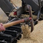 Η Τουρκία αυξάνει σταδιακά τις εισαγωγές σιταριού