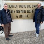 Οδηγός για την ορθή «λίπανση» της ακτινιδιάς - Fresher