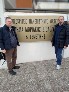 Οδηγός για την ορθή «λίπανση» της ακτινιδιάς - Fresher