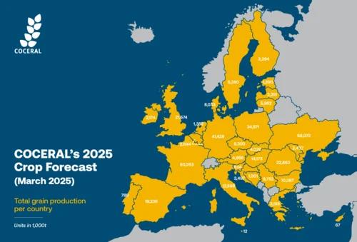 Αγροτικές Ειδήσεις: COCERAL: Αυξάνει τις προβλέψεις για την παραγωγή σιτηρών της ΕΕ και του Ηνωμένου Βασιλείου για το 2025