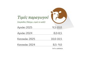 Πάνω από 10 ευρώ αρνί και κατσίκι ενόψει Πάσχα, δεν καλύπτονται οι παραγγελίες