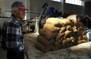 Παρασκευή 25 Απριλίου  πληρωμή των αγροτικών συντάξεων Μαΐου