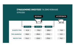 Πολύ πιθανό να χαθούν τα ζωικά πριμ 2025 λόγω μη κατάρτισης κτηνοτρόφων