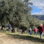 Οι ανακατατάξεις που φέρνει η ενδιάμεση αναθεώρηση της ΚΑΠ και οι εκτός ελέγχου  ενισχύσεις 2.500 ευρώ