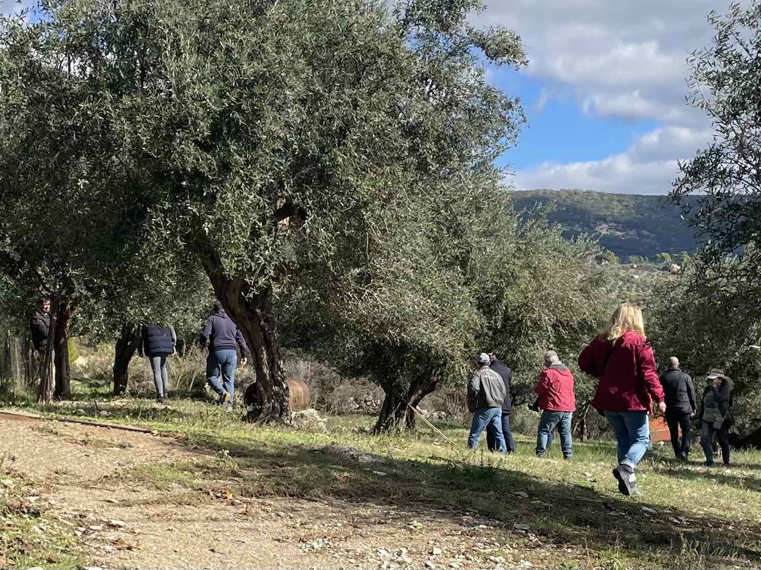 Οι ανακατατάξεις που φέρνει η ενδιάμεση αναθεώρηση της ΚΑΠ και οι εκτός ελέγχου ενισχύσεις 2.500 ευρώ