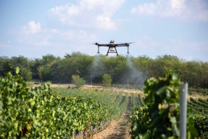 Ανοίγει ο δρόμος για χρήση drones σε αεροψεκασμούς με αφετηρία τους αμπελώνες - Winetrails