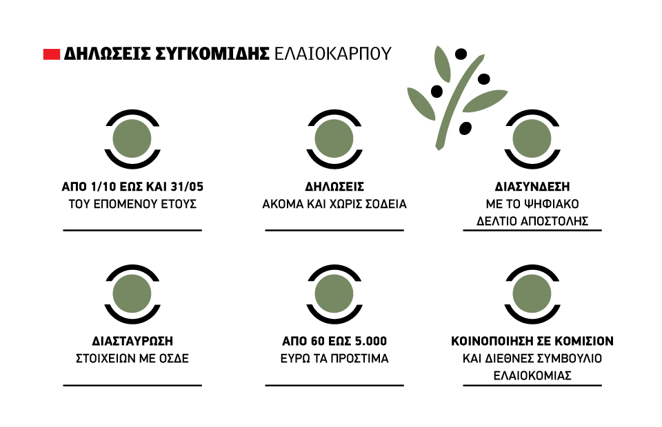 Ελαίας Καρπός