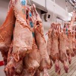 Έβρος: Μειώνεται ο κίνδυνος για χιλιάδες αδιάθετα αμνοερίφια