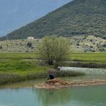 ΟΣΔΕ: Στον τόπο το χορό ο ΟΠΕΚΕΠΕ, αγχωμένες προτάσεις από την ΕΘΕΑΣ