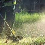 Υποχρεωτικός καθαρισμός των ιδιωτικών οικοπέδων έως τις 30 Απριλίου 2025