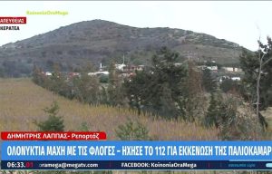 Χωρίς ενεργό μέτωπο η πυρκαγιά σε χαμηλή βλάστηση στην Κερατέα