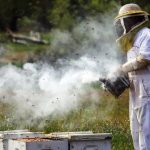 Οδηγίες ΔΑΟΚ Δράμας προς μελισσοκόμους και αγρότες για την αντιπυρική περίοδο
