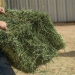 Λιγότερες υποχρεώσεις για διακοπή εργασίας από αγρότες και επιχειρήσεις