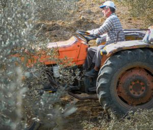 Νέοι δρόμοι κομποστοποίησης μέσω του έργου Oruland