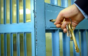 Στη φυλακή ο 35χρονος που υλοτομούσε παράνομα στο δάσος της Αρέθουσας