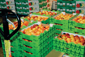 «Καμπανάκι» Incofruit για ανεπαρκείς ελέγχους στα διακινηθέντα φρούτα και λαχανικά