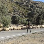 Δυσχερή τα e-παραστατικά για αγρότες ακριτικών περιοχών