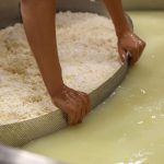 Από περιβαλλοντικό βάρος σε ενεργειακή ευκαιρία η εγχώρια παραγωγή τυρογάλακτος - Τυροκόμος
