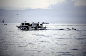 Ξεκίνησε η καταβολή αποζημειώσεων 15,91 εκατ. ευρώ στους παράκτιους αλιείς
