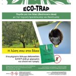Σε μόνιμη επιφυλακή για τρεις γενιές δάκου στους ελαιώνες λόγω ήπιου καιρού - Ελαίας Καρπός