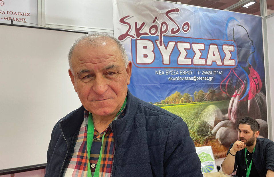 Δείχνει καλύτερα από πέρυσι το σκόρδο, καθαρή η σοδειά σε Βύσσα και Πλατύκαμπο - Fresher