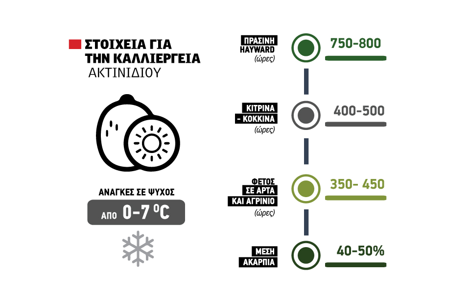 Μεγάλο έλλειμμα σε κεράσια και βερίκοκα, μερική ακαρπία 50% για τα πράσινα ακτινίδια - Fresher
