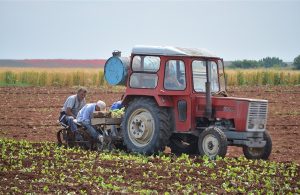 Άδικο αποκλεισμό του καπνού από το μέτρο 23 καταγγέλλουν οι παραγωγοί