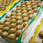 Στις μικρές πόλεις της Κίνας εντοπίζουν το κλειδί για επέκταση στην αγορά της Ασίας οι κολοσσοί της αγροδιατροφής