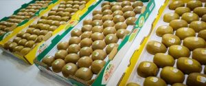 Στις μικρές πόλεις της Κίνας εντοπίζουν το κλειδί για επέκταση στην αγορά της Ασίας οι κολοσσοί της αγροδιατροφής