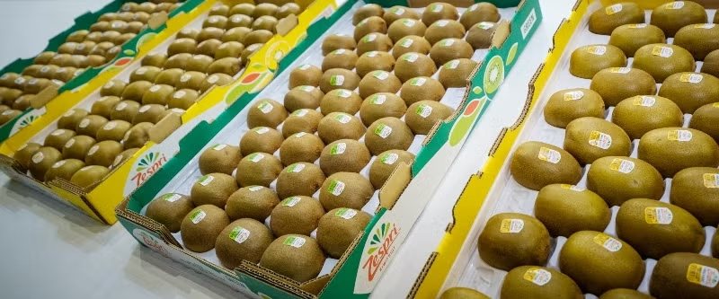 Στις μικρές πόλεις της Κίνας εντοπίζουν το κλειδί για επέκταση στην αγορά της Ασίας οι κολοσσοί της αγροδιατροφής