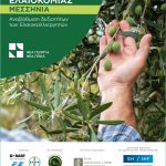 Πρόγραμμα για ενίσχυση ανταγωνιστικότητας και εξωστρέφειας ελληνικής ελαιοκομίας από Νέα Γεωργία Νέα Γενιά