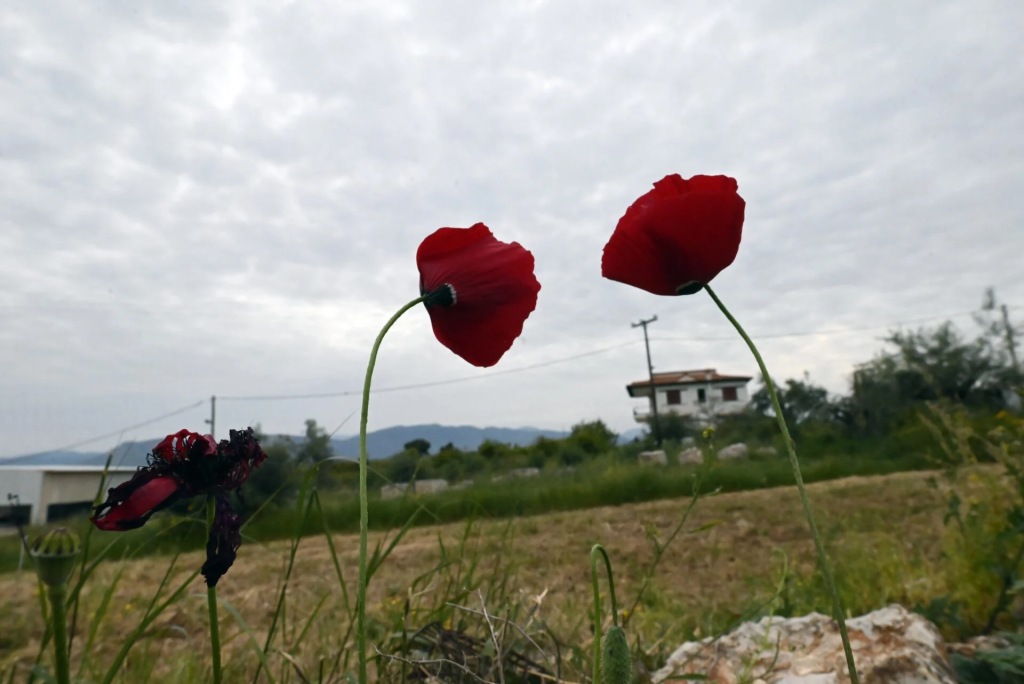 Πτώση θερμοκρασίας έως τους 25 βαθμούς τη Δευτέρα 12 Μαΐου