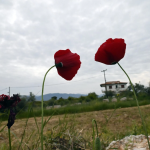 Πτώση θερμοκρασίας έως τους 25 βαθμούς τη Δευτέρα 12 Μαΐου