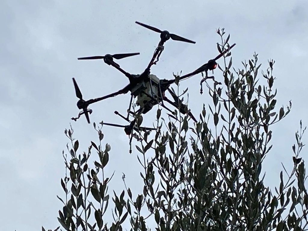 Η χρήση drones για την καταπολέμηση του δάκου