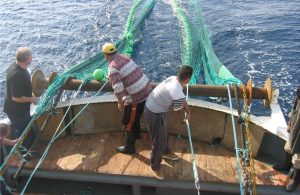 Καμπανάκι αλιέων Σκοπέλου για μέτρο υποχρεωτικής ζύγισης