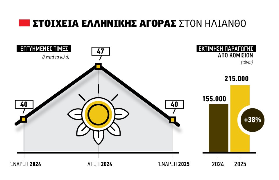 Από 40 λεπτά οι συμβάσεις για ηλίανθο στην Ορεστιάδα με όρεξη για κάτι καλύτερο