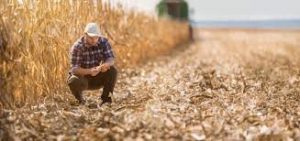 Μείωση δείκτη τιμών εκροών 5% τον Μάρτιο δείχνει η ΕΛΣΤΑΤ
